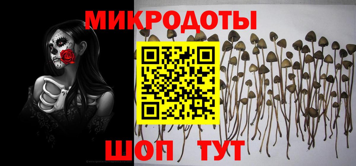 Псилоцибиновые грибы ЛСД  Вход с VPN  Назрань 